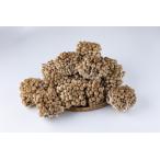 fu.... налог .. длина свежий!.. симедзи 15 АО комплект AT23 Fukuoka префектура большой дерево блок 