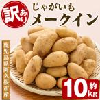 訳あり じゃがいも メークイン 約10kg