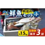漁師厳選 鮮魚セット 小 3種類以上 約1.5kg