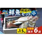 漁師厳選 鮮魚セット 小 3種類以上 約1.5kg