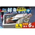 漁師厳選 鮮魚セット 中 4種類以上 約3kg