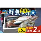 漁師厳選 鮮魚セット 大 5種類以上 約5kg