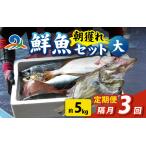 漁師厳選 鮮魚セット 大 5種類以上 約5kg