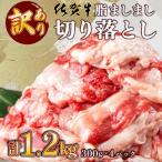 脂ましまし 佐賀牛切り落とし 1.2kg
