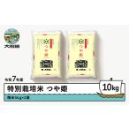 ふるさと納税 新米 米 