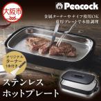 ステンレスホットプレート WDV-10S