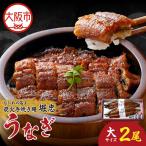 炭火手焼き鰻うなぎ大2尾 鰻_OS157-0001-01