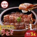 炭火手焼き鰻うなぎ 特大3尾 うなぎ_OS157-0001-02