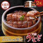 炭火手焼き鰻 浜名湖産天然うなぎ 2尾