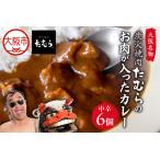 とろとろのお肉ごろごろの焼肉たむらのカレー 6個入り
