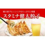 ふるさと納税 「宇都宮餃子館」スタミナ健太餃子 960g(48個)≪ギョーザ 冷凍餃子 冷凍食品 グルメ 食品 惣菜 中華惣菜 点心 中華≫ 栃木県さくら市