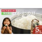 ふるさと納税 【無洗米】令和7年産 新米予約 コシヒカリ 5kg 【 お米 米 コメ 精米 南丹市 】 京都府南丹市