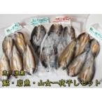 荒川漁業 鮎 岩魚 山女一夜干しセット◇ ※着日指定不可◇