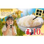 R7年産 ハツシモ米 白米 10kg