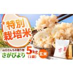 令和8年産 特別栽培米 さがびより 玄米 5kg