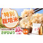 令和8年産 特別栽培米 さがびより 玄米 10kg
