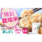 令和8年産 特別栽培米 夢しずく 玄米 5kg