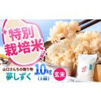 令和8年産 特別栽培米 夢しずく 玄米 10kg