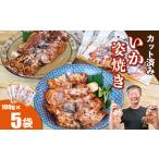 いか姿焼き せんべい 100g×5袋