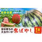 すいか 大玉すいか 祭ばやし 1玉