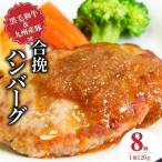 黒毛和牛 九州産豚の合挽ハンバーグ 120g×8個_黒毛和牛