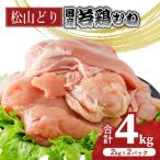 鶏肉 小分け 4kg