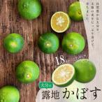 大分の露地かぼす 約1.8kg
