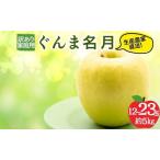 ふるさと納税 りんご 訳あり 家庭用 ぐんま名月 約 5kg (12〜23玉) 黄色 不揃い 秋 2026年 11月発送 長野県山ノ内町