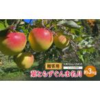 りんご 葉とらず シナノスイート 3kg