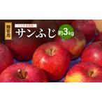 りんご 葉とらず サンふじ 3kg