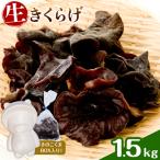 生きくらげ 1.5kg