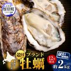訳あり 厚岸産牡蠣 約2kg
