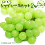 シャインマスカット 2kg