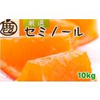 セミノール オレンジ 厳選 10kg+250g