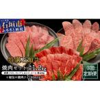 全3回合計1.2kgの焼肉セット 赤身
