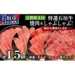 全4回合計1.5kgの焼肉セット 赤身