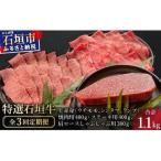 全3回合計1.1kg 上赤身 ウチモモ シンタマ