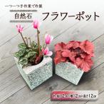 植木鉢 自然石 フラワーポット サイズ 約 縦12cm×横12cm×高…