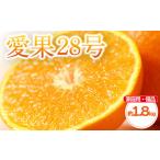 愛果28号 紅まどんな と同品種 優品 約 1.8kg