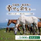 ホーストラスト 引退馬支援 3000円分