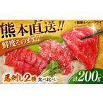 ふるさと納税 馬刺し2点盛り計約200g 馬刺し醤油 BHAC001 熊本県菊陽町