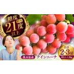 シャインマスカット クイーンニーナ 詰め合わせ