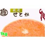 厳選 せとか 1kg+250g 痛み補償分