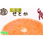 厳選 せとか 10kg+250g 痛み補償分