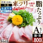 若狭 日向の天然寒ブリ 脂 部位ごと食べ比べ