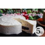 マルベリーチーズケーキ ホール ケーキ GDS