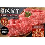 \とろける佐賀牛 ブランド牛 霜降り 極上