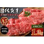 \とろける佐賀牛 ブランド牛 霜降り 極上