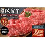 \とろける佐賀牛 ブランド牛 霜降り 極上