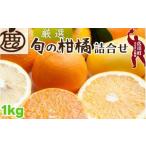 不知火 しらぬい 1kg+250g 痛み補償分